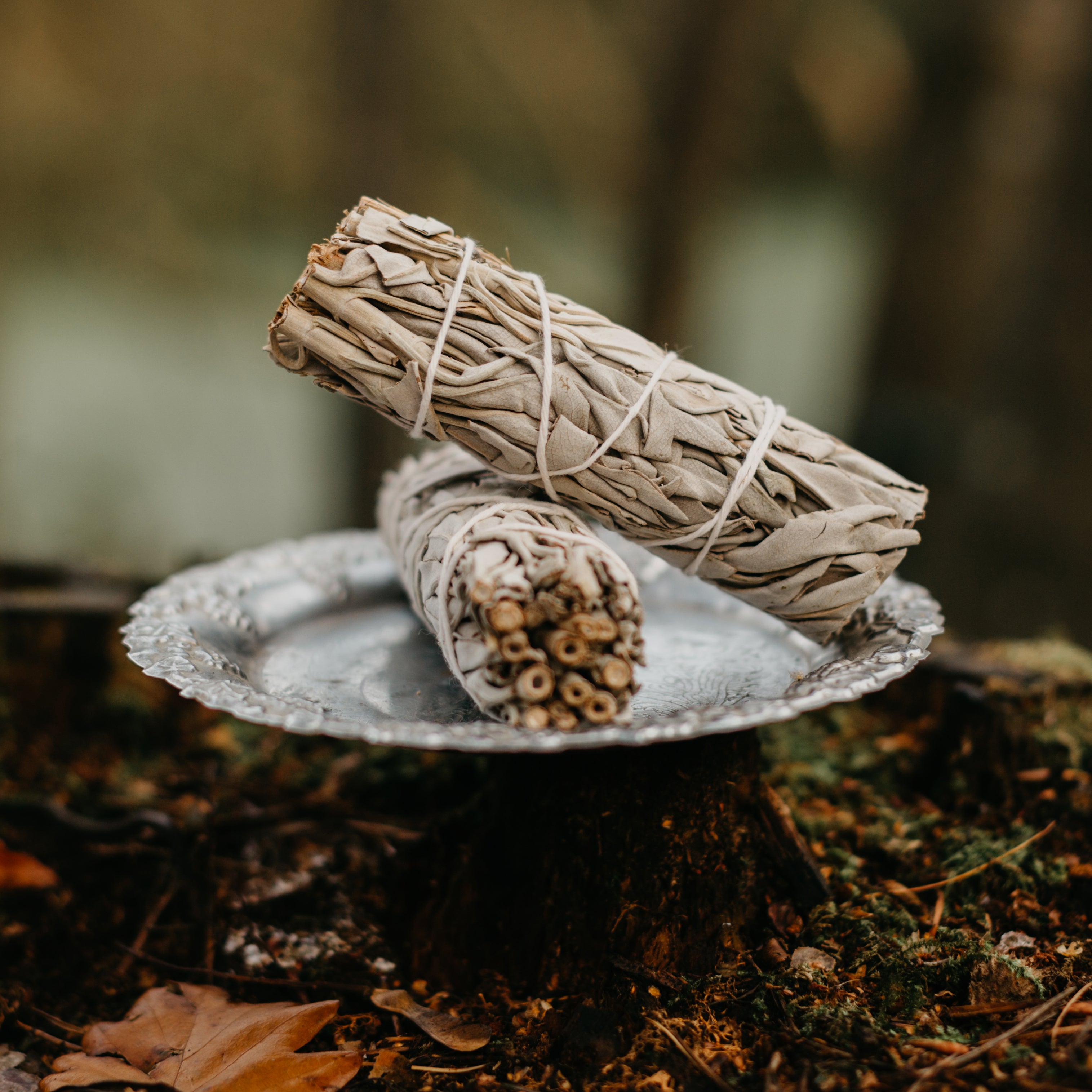 White Sage Smudge Stick
