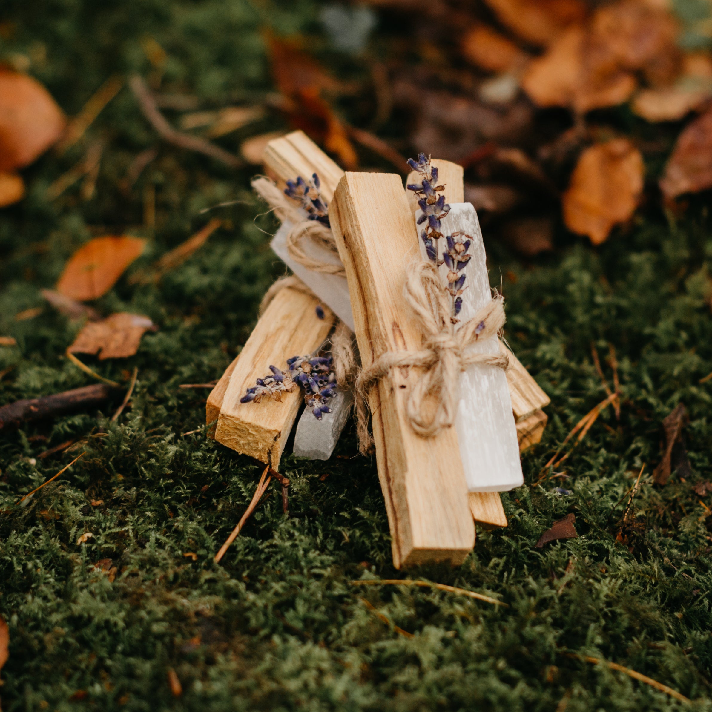 Palo Santo + Selenite Bundle